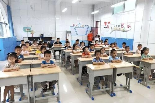 石家庄小学爆料事件视频,揭开校园安全疑云
