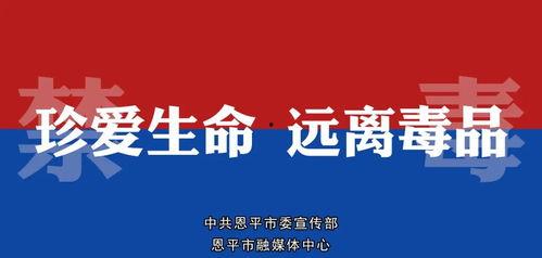 恩平电视台新闻爆料直播,最新事件现场直击