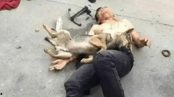 最新偷鱼爆料事件,揭秘幕后黑手与惊人内幕