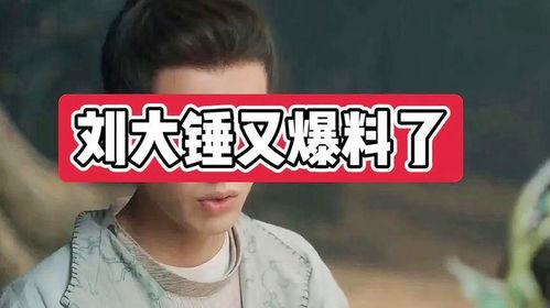 刘大锤爆料杨紫视频合集,杨紫视频合集精彩瞬间大盘点