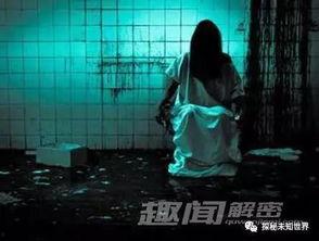 粉丝爆料恐怖视频大全,粉丝爆料恐怖视频大全盘点