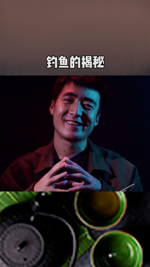 爆料钓鱼真相大全视频播放,揭秘网络钓鱼的常见手段与防范技巧