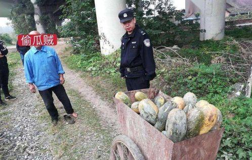 文安某网红吃瓜事件视频,揭秘背后真相与争议