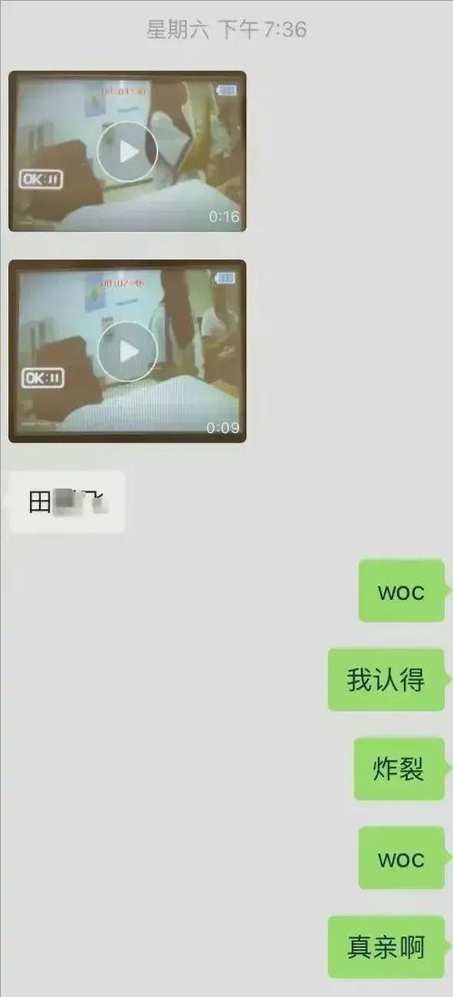 河北女生爆料视频最新版,揭露惊人内幕，引发社会关注