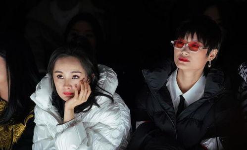 罗云熙白鹿娱乐爆料,揭秘明星幕后故事